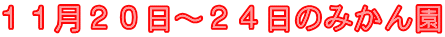 １１月２０日～２４日のみかん園