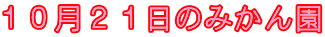 １０月２１日のみかん園