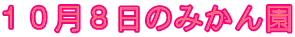 １０月８日のみかん園