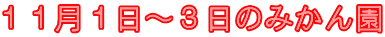 １１月１日～３日のみかん園