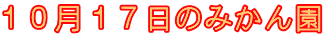 １０月１７日のみかん園 