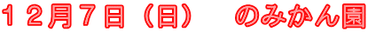 １２月７日（日）　のみかん園