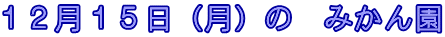 １２月１５日（月）の　みかん園 