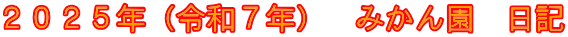 ２０２５年（令和７年）　みかん園　日記