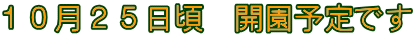 １０月２５日頃　開園予定です